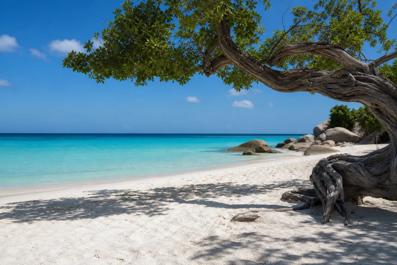 Aruba: Strände, Komfort und der berühmte Eagle Beach