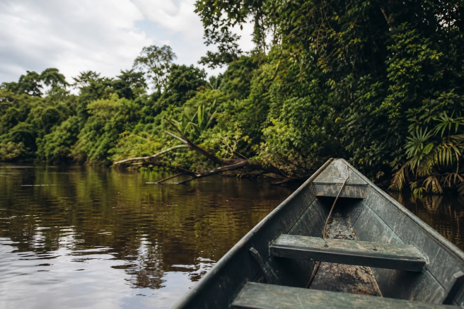 Boot auf einer Kolumbien Amazonas Tour bei Leticia mit dichtem Regenwald am Ufer