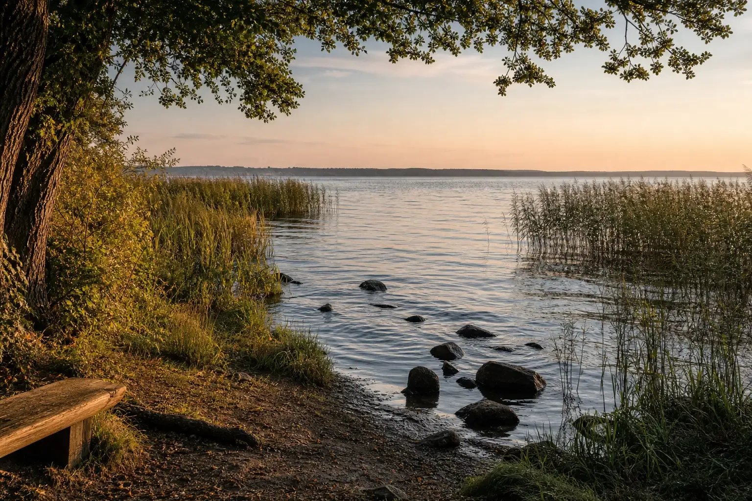 Steinhuder Meer: Naturpark-Ruhe abseits von Steinhude