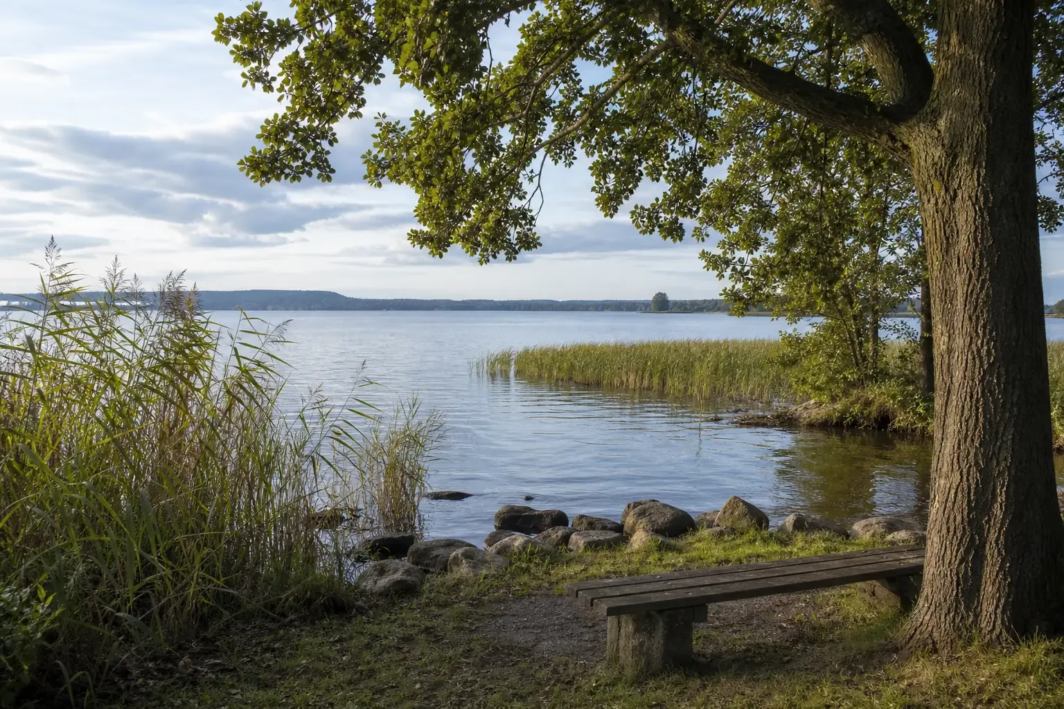 Ruhiges Ufer am Zwischenahner Meer, ein beliebtes Ziel für einen Tagesausflug in Niedersachsen